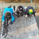 20181128_093403